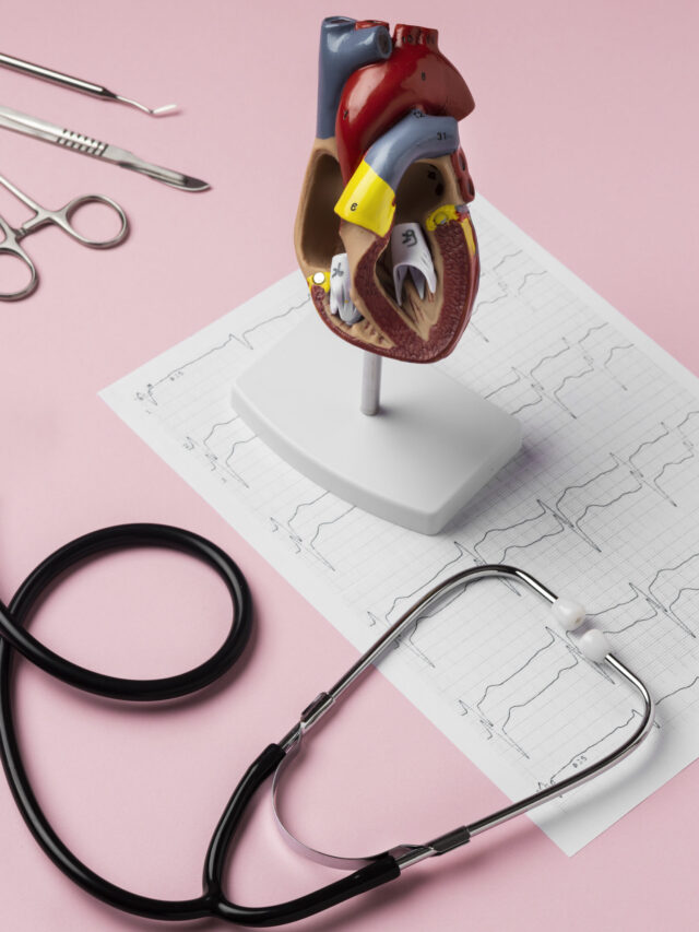 view-anatomic-heart-model-educational-purpose-with-stethoscope