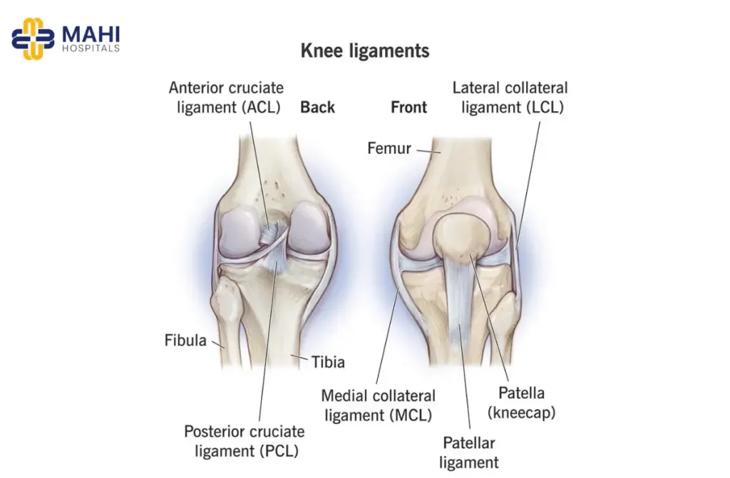 Knee Ligament Surgery